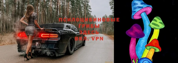jwh Аркадак